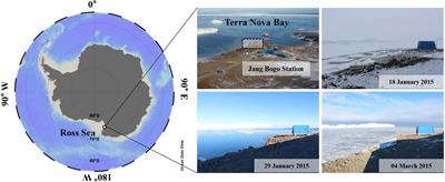 Monthly Variation in the Macromolecular Composition of Phytoplankton Communities at Jang Bogo Station, Terra Nova Bay, Ross Sea